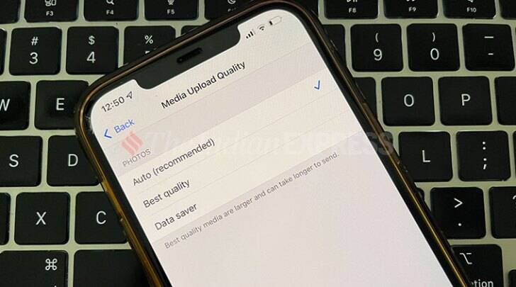 WhatsApp tips, WhatsApp auto-download, WhatsApp storage, Clean WhatsApp