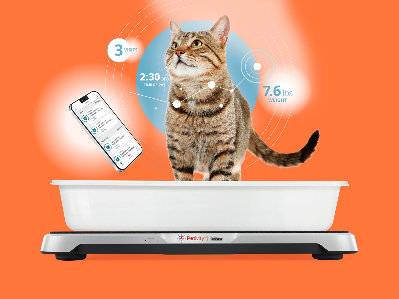 infographic of cat in litter box