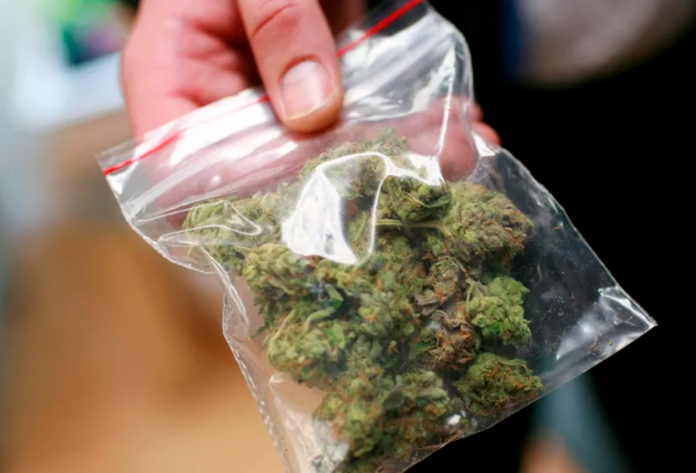 It could soon be legal to posses up to 15 grams of cannabis in Berlin -- a street value of more than 120. Foto: ROBERT GALBRAITH/ REUTERS