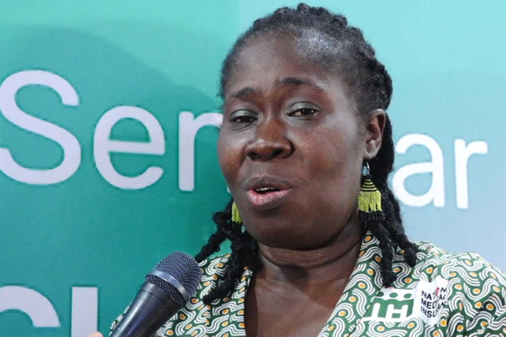 Private-public partnership is key to accelerating Universal Health Coverage - PharmAccess Country Director Private-public partnership is key to accelerating Universal Health Coverage - PharmAccess Country Director