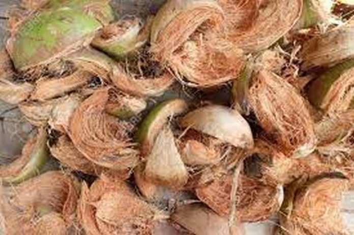 coconut husk
