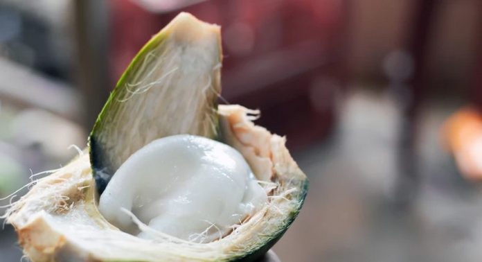 Coconut malai Coconut malai