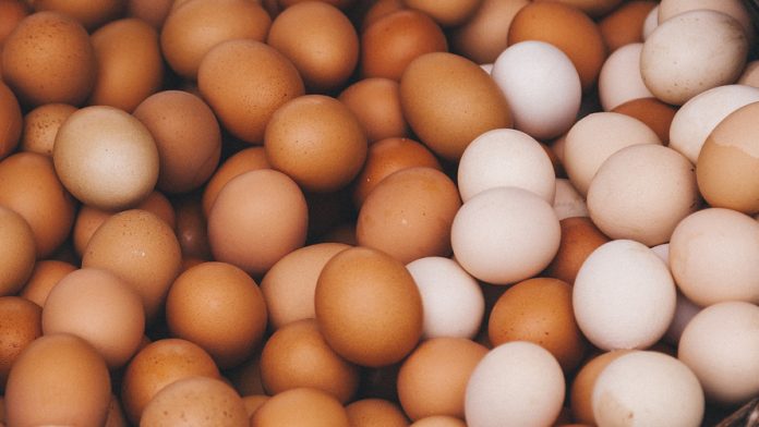 Eggs