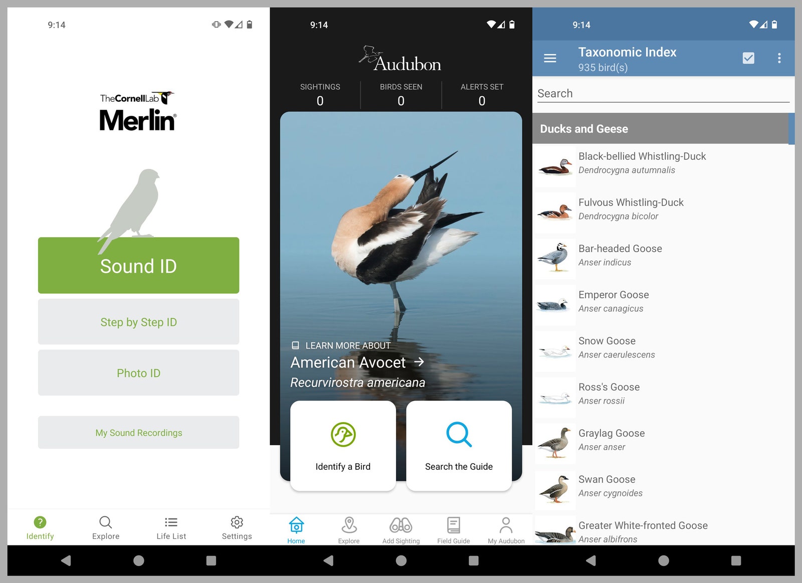 Screenshots of the Merlin Audubon and Taxonomic Index bird watching apps