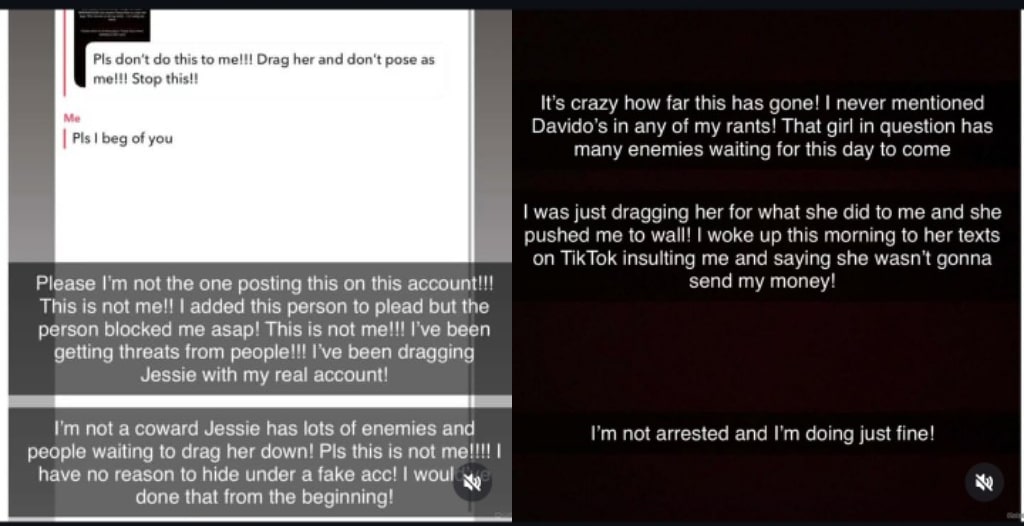 Milkshake denies dragging Davido in rant