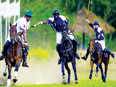 Polo