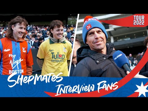 Aussie TikTokers Shepmates interview Palace fans
