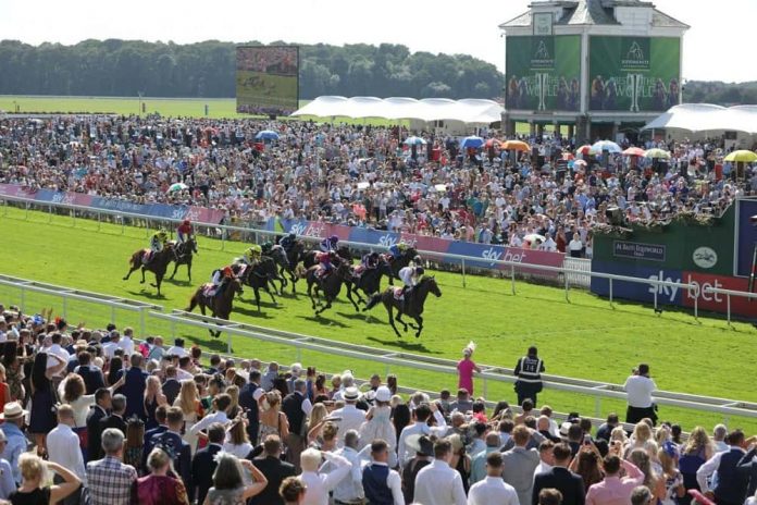 York Races today