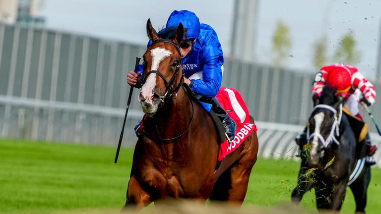 Mysterious Night was impressive in victory at Woodbine in a Breeders&#39; Cup qualifier
