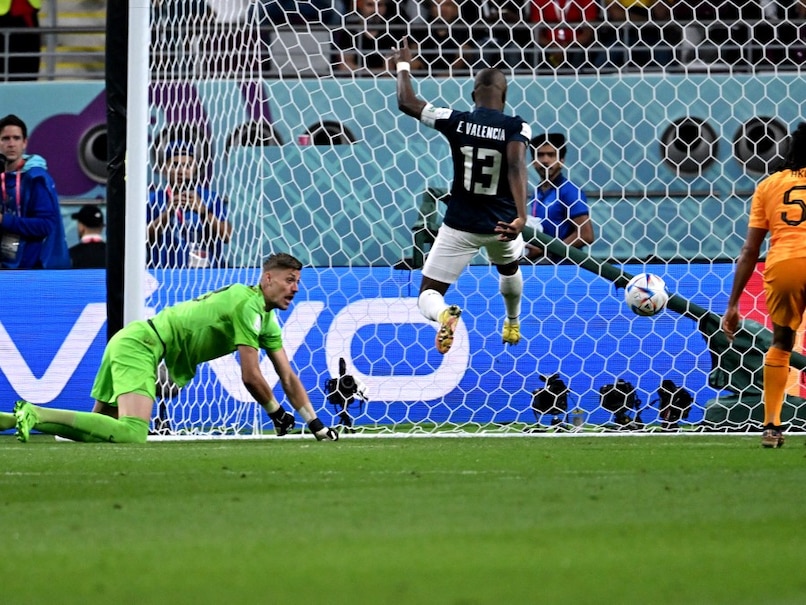 Netherlands vs Ecuador FIFA World Cup 2022 Live: Enner Valencia Pulls Ecuador Level Early In 2nd Half; NED 1-1 ECU