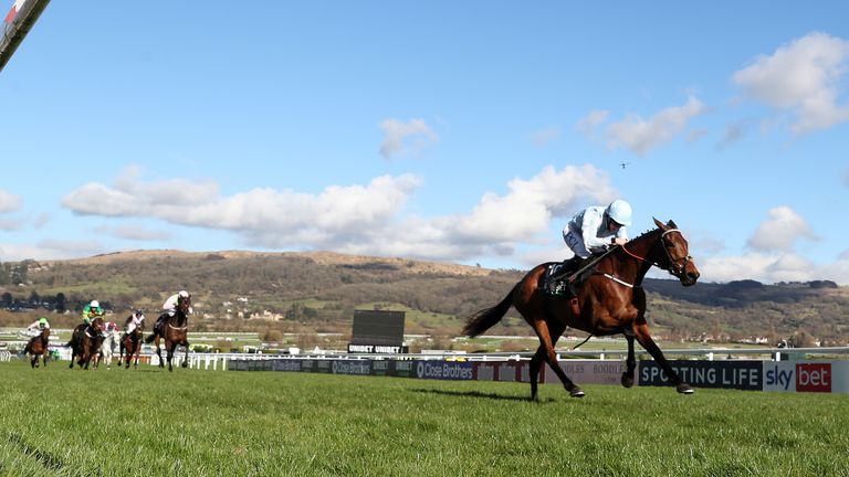 Honeysuckle and Rachael Blackmore leave the rest of the Champion Hurdle field well behind at Cheltenham