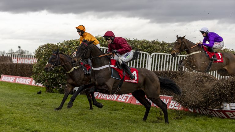 Mister Coffey was second in the Kim Muir at the Cheltenham Festival last year