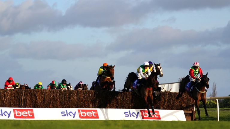 Windsor Avenue jumps to victory in the Sky Bet Chase