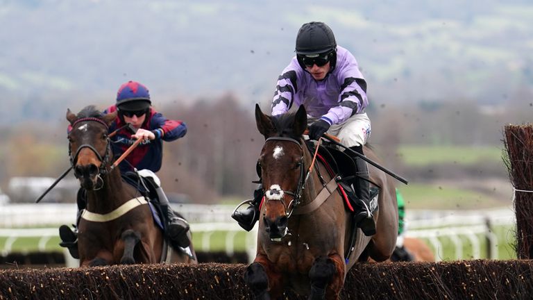 Stage Star jumped well in victory from top weight at Cheltenham under Harry Cobden
