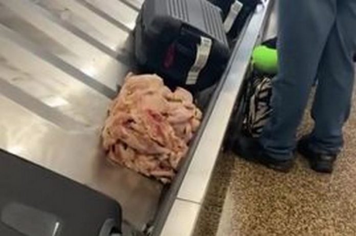 0_Chicken-luggage-carousel (Copy)