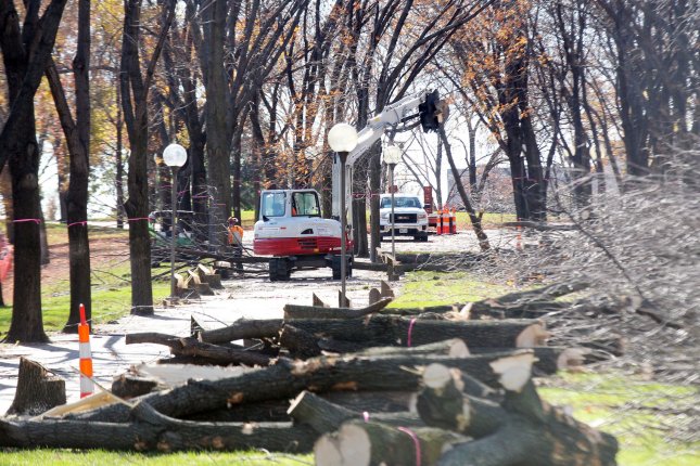 Insects could kill 1.4 million trees in U.S. cities by 2050, study says