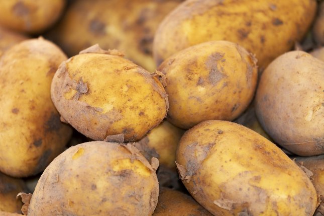National Tater Day originally celebrated sweet potatoes in Kentucky