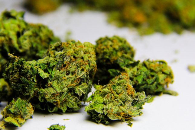 Florida bride, caterer face felonies for cannabis-laced wedding food