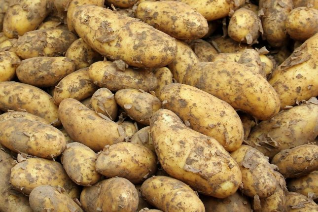 Inert WWII grenade found among potatoes at New Zealand factory