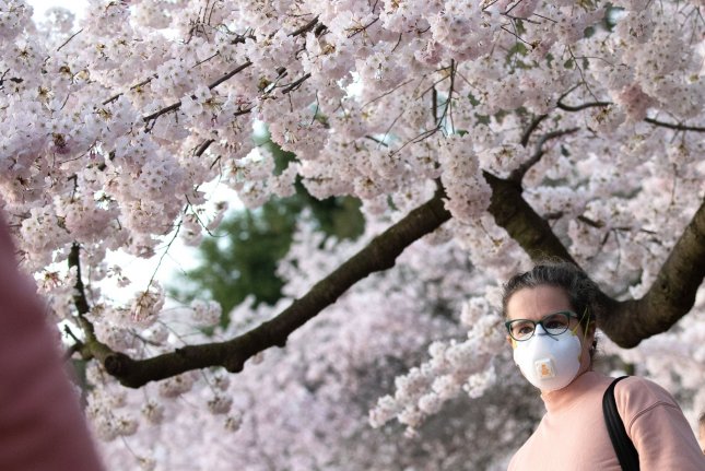 Loss of sense of smell from COVID-19 caused by damage to brain, study finds