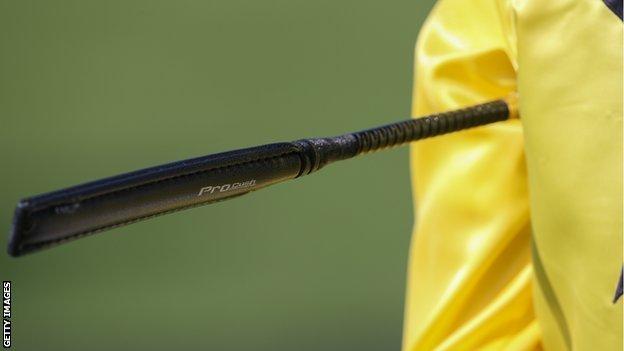 Jockey's whip