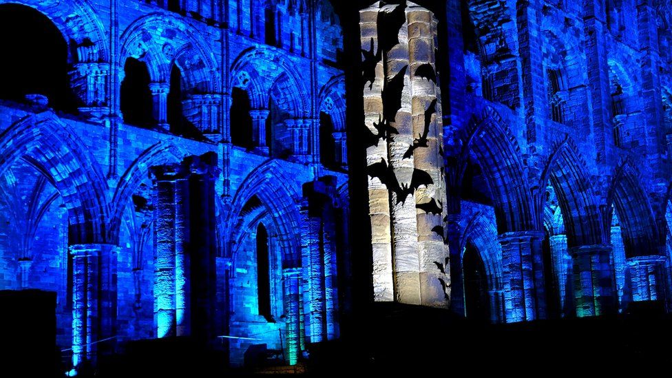 bat's projected on Whitby Abbey
