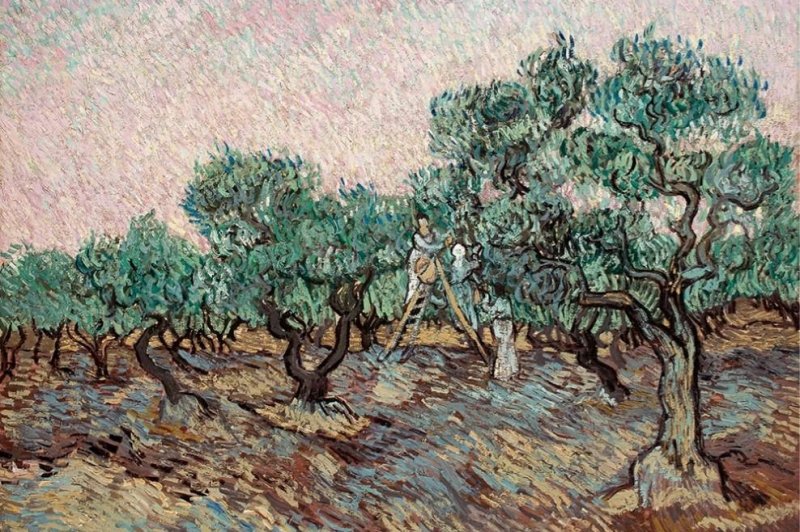 The Metropolitan Museum of Art in New York City is facing a new lawsuit over a painting by Vincent Van Gogh that was allegedly looted by Nazis in the 1930s. Photo courtesy of <a href="https://goulandris.gr/en/artwork/vincent-van-gogh-olive-picking">Basil &amp; Elise Goulandris Foundation</a>