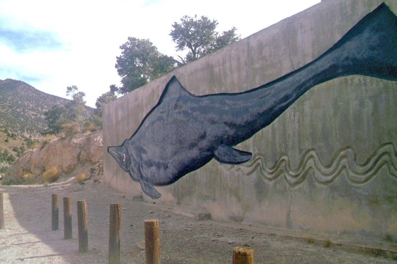 Researchers believe they have found an explanation as to what happened to dozens of prehistoric marine reptiles whose fossils blanket Nevada’s Berlin-Ichthyosaur State Park. Image courtesy of Wikimedia Commons