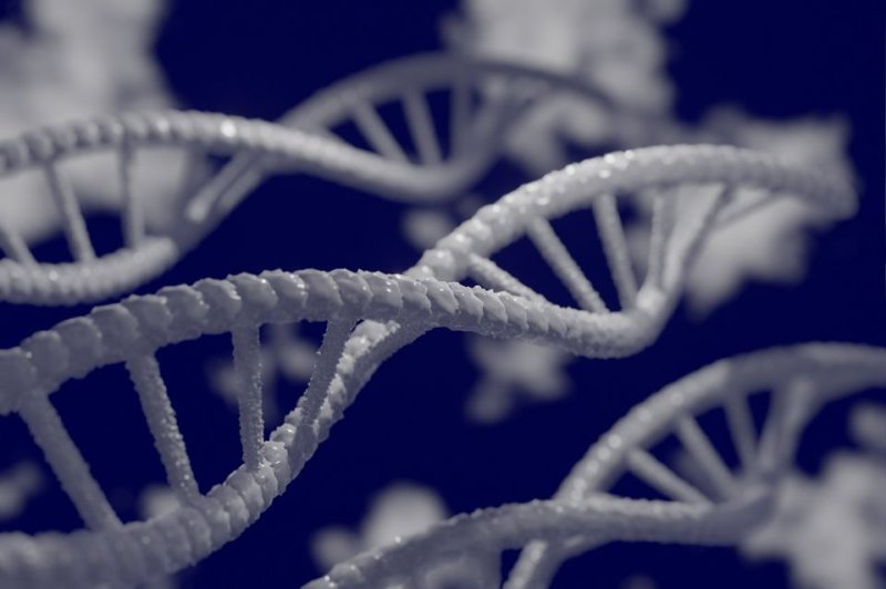 Investigators tracked the relationship of genes across evolution and 155 popped up from regions of unique DNA. New genes can arise from duplication in the genome, but these started from scratch. Photo by <a href="https://pixabay.com/users/mahmoud-ahmed-16261757/?utm_source=link-attribution&amp;utm_medium=referral&amp;utm_campaign=image&amp;utm_content=5297378" target="_blank">Mahmoud Ahmed</a>/<a href="https://pixabay.com//?utm_source=link-attribution&amp;utm_medium=referral&amp;utm_campaign=image&amp;utm_content=5297378" target="_blank">Pixabay</a>