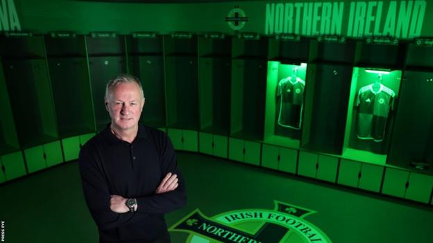Michael O'Neill guided Northern Ireland to the Euro 2016 finals