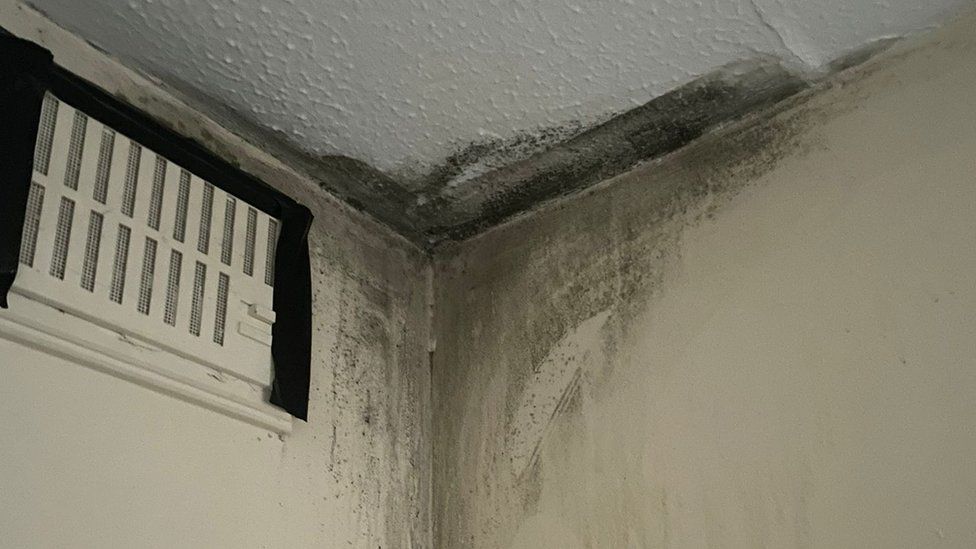 Mould in the corner of a room