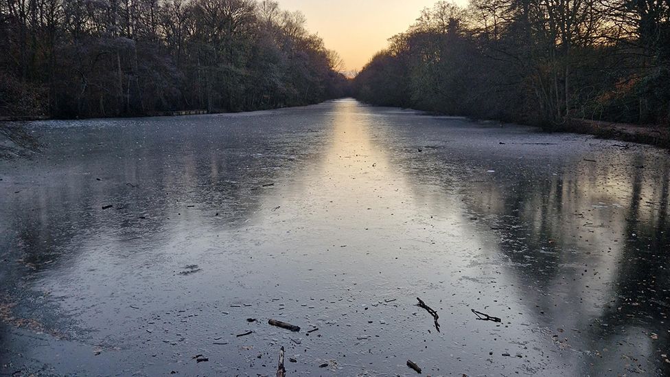 Hartsholme Country Park park