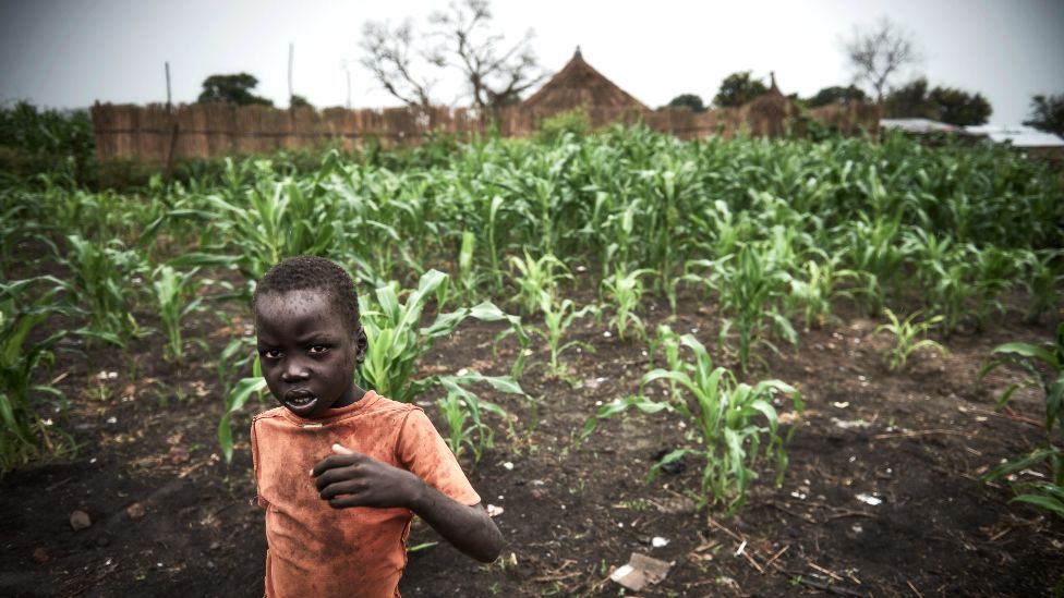 A boy by a small area of crops in Canal Village in Jonglei state, South Sudan