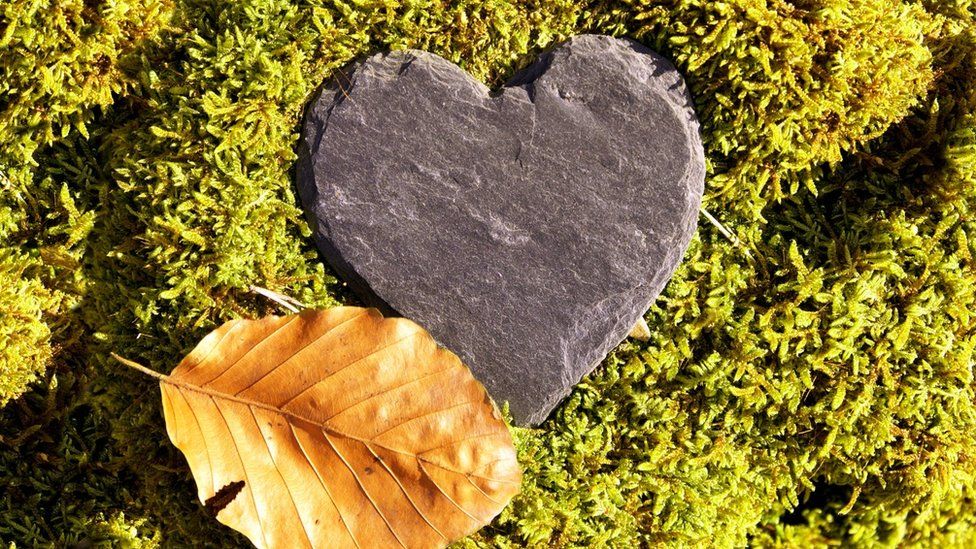 Heart shaped slate on moss