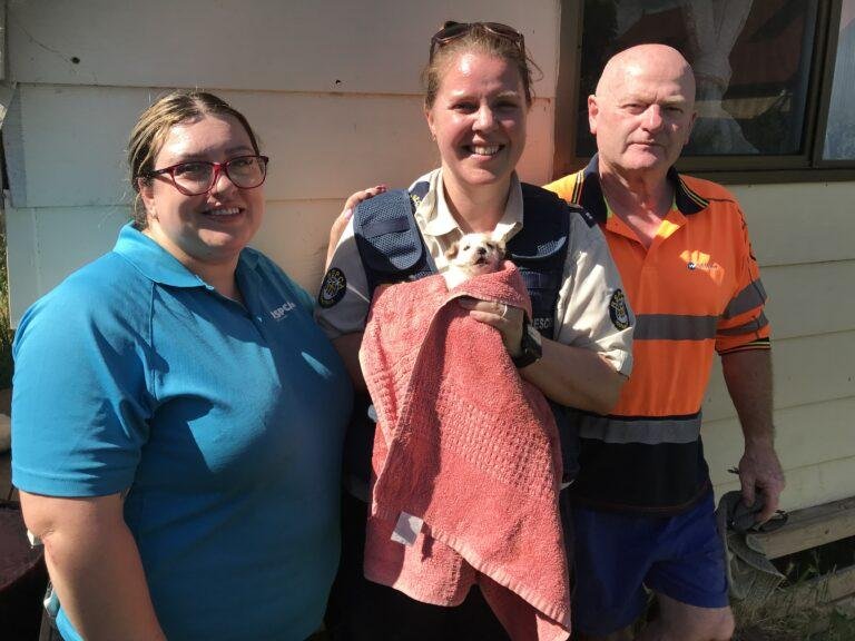 RSPCA South Australia rescuers and a local plumber came to the rescue of a puppy that fell into a deep drainpipe in its owner's Hilton yard. Photo courtesy of RSPCA South Australia