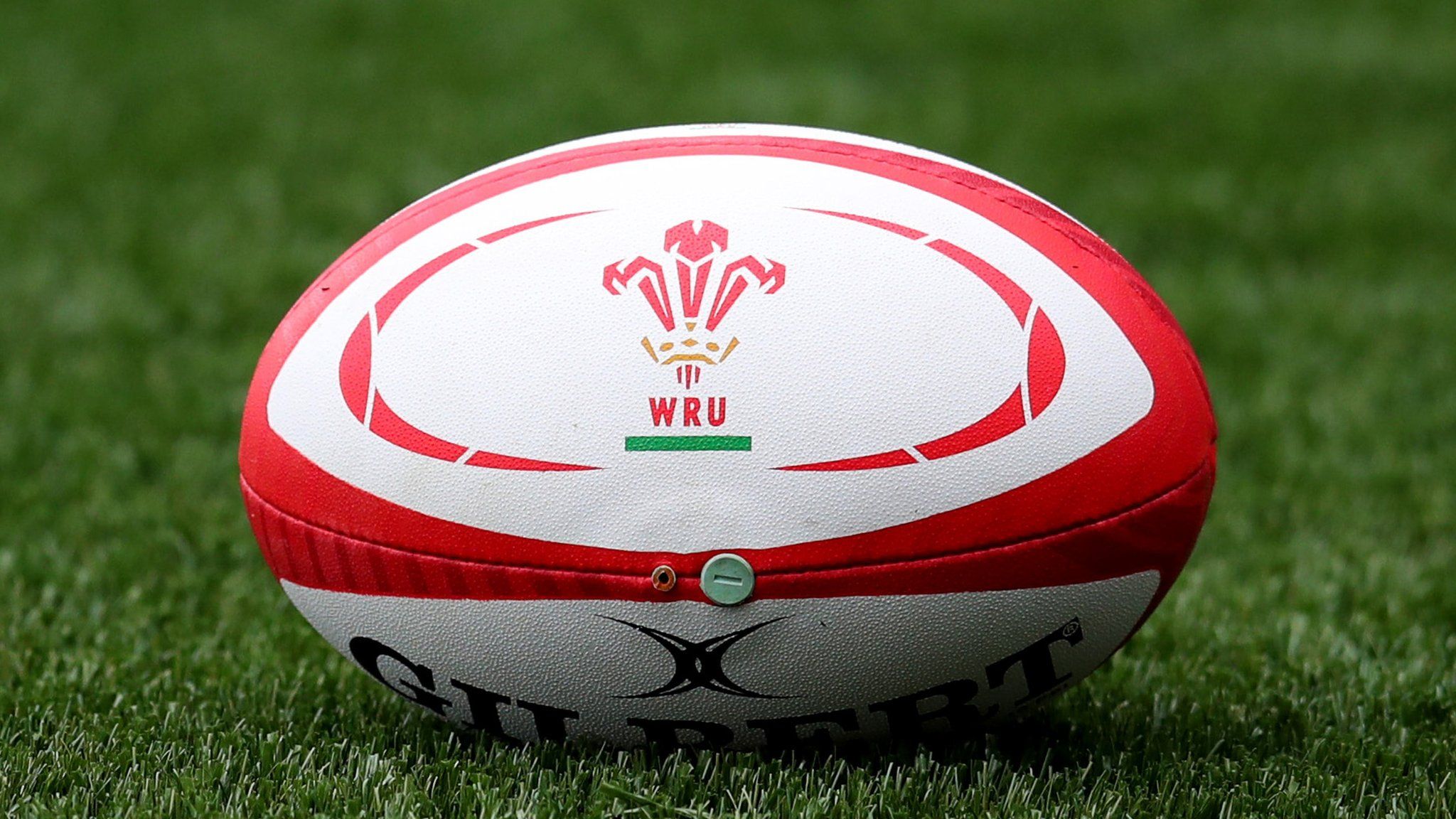 Rugby ball featuring Welsh Rugby Union logo