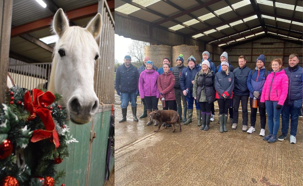 Horse and volunteers at Crosskennan Lane Animal Sancturary
