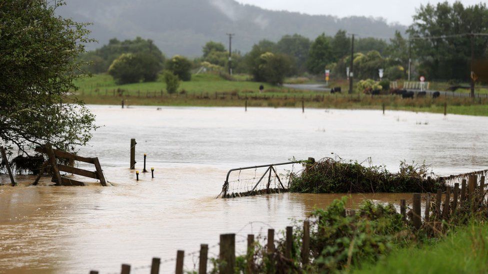 A flooded field in New Zealand