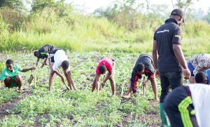 The report showed ony 37 percent of youth in agriculture had access to finance