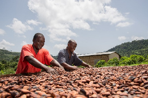 Ivory Coast and Ghana account for almost 70% of world supplies for cocoa beans