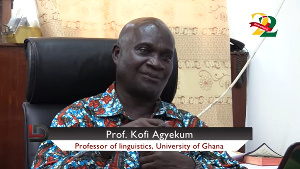 Professor at the Department of Linguistics at the University of Ghana, Opanin Agyekum