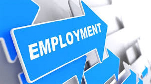 SIGA said in the report that 58 out of the 175 specified entities provided employment