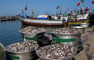 File photo of a fishing harbour