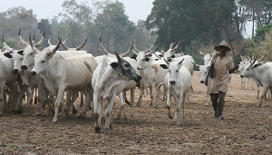 The DCE has challenged the Fulani to show evidence of their claim