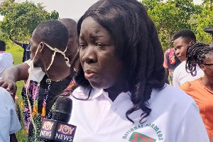 Elizabeth Ofosu-Adjare, the Member of Parliament (MP) for Techiman North