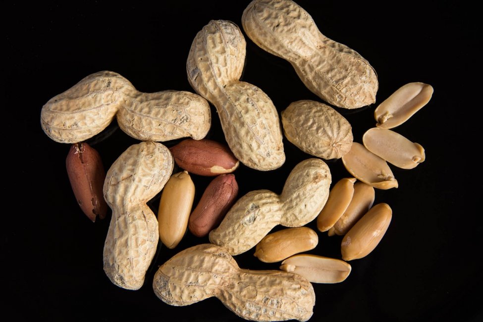 Study: Starting peanut immunotherapy at age 3 or younger can resolve allergies