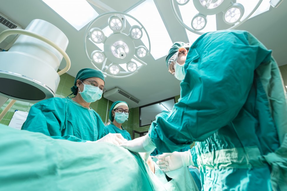 Surgeons perform second successful pig-to-human kidney transplant
