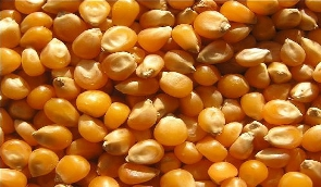 Maize sellers in Sissala stranded, unable to find market –