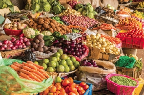 Unlocking Africa’s potential through agrifood systems transformation and capacity building –