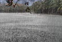 Eight injured, many displaced after rainstorm at Praso –